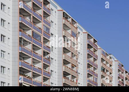 Plattenbauten mit Balkon, aufgenommen im Berliner Stadtteil Lichtenberg in Berlin, 29.02.2024. Berlin Deutschland *** Fertigbauten mit Balkon, fotografiert im Berliner Stadtteil Lichtenberg, 29 02 2024 Berlin Deutschland Copyright: XFlorianxGaertnerx Stockfoto