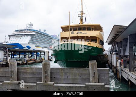 Circular Quay Fährhafen, Freshwater Class Manly Fähre, MV Freshwater vor Anker gebracht, mit Majestic Princess Kreuzfahrtschiff am Übersee Terminal Stockfoto