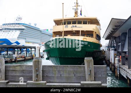 Circular Quay Fährhafen, Freshwater Class Manly Fähre, MV Freshwater vor Anker gebracht, mit Majestic Princess Kreuzfahrtschiff am Übersee Terminal Stockfoto