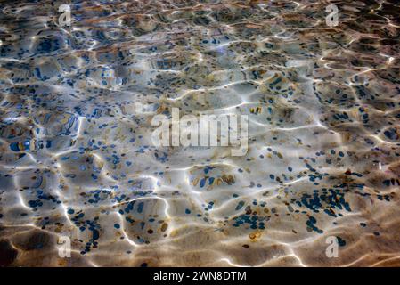 Münzen aller Nationalitäten, die traditionell von Touristen am berühmten Trevi-Brunnen in Rom, Italien, ins Wasser geworfen wurden. Stockfoto