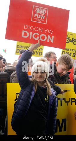 Walisische Bauern protestieren im Senedd, Cardiff Stockfoto