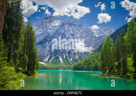 Pragser Wildsee in den Dolomiten, Italien. Blick auf den See, der von Nadelbäumen mit einem mächtigen Bergmassiv im Hintergrund umgeben ist Stockfoto