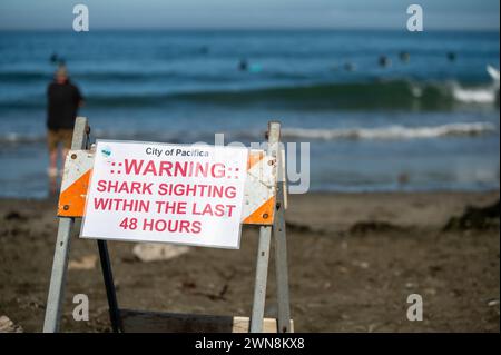 Ein Schild, das vor Haien am Strand warnt Stockfoto