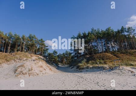 Gras Sand Düne Strand Meerblick, Leba, Ostsee, Polen Stockfoto