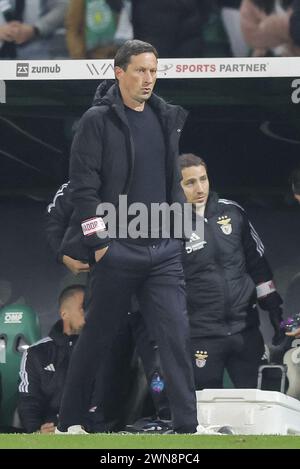 Lissabon, Portugal. Februar 2024. Lissabon, 02/29/2024 - Sporting Clube de Portugal veranstaltete heute Abend im José Alvalade XXI Stadion in Lissabon, Sport Lisboa und Benfica im 1. Leg des Halbfinales der Taca de Portugal Plakette 2023/24. Roger Schmidt (Gerardo Santos/Global Imagens) Credit: Atlantico Press/Alamy Live News Stockfoto