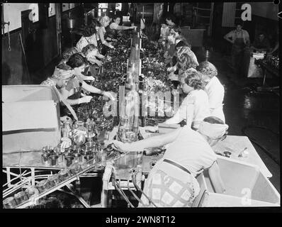 Fischkonservierung - Eden, South Coast., Austraila 1952. Frauen, die an der Produktionslinie arbeiten, Fischkonservenfabrik, Stockfoto