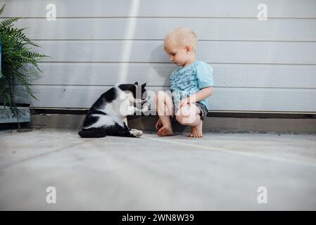 Große Aufnahme von Kleinkindern und Katzen, die im Sommer zusammen sitzen. Stockfoto