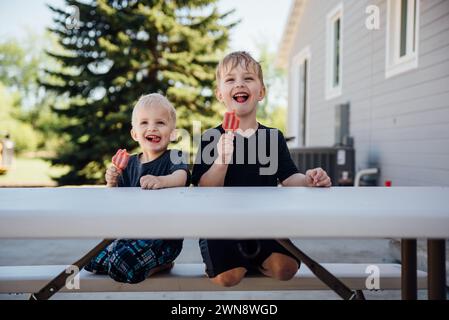 Zwei Jungs, die auf Picknicktisch sitzen und alberne Gesichter mit Eis machen. Stockfoto