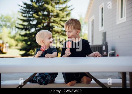 Zwei Jungs essen Eis auf Picknicktisch, während sie Gesichter machen. Stockfoto