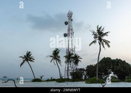 Turm des mobilen Signalsenders auf Fulidhoo Island (Malediven) mit Palmenholz unten an einem klaren Abend Stockfoto