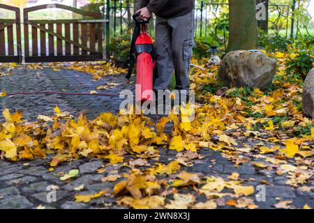Einfahrt im Herbst mit Laubbläser sauber halten Stockfoto