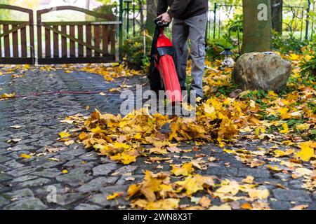 Einfahrt im Herbst mit Laubbläser sauber halten Stockfoto