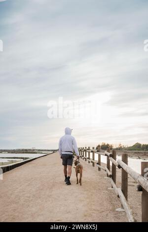 Mann, der weggeht, während er Vizsla-Hund an der Leine geht Stockfoto