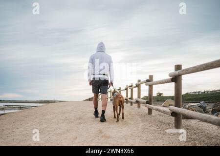 Mann, der mit Vizsla-Hund an der Leine weggeht Stockfoto