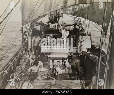 Vintage-Antarktis-Fotografie von Herbert George Ponting um 1911. An Bord der Terra Nova, Besatzung und Schlittenhunde an Deck. Stockfoto