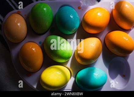 Bunte Eier auf Tablett im Sonnenlicht Stockfoto