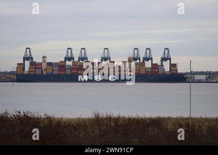 In Trinity Wharf, Felixstowe, am 28. Februar 2024, MSC Raya, 236078 Tonnen, nach Ankunft aus Antwerpen mit nächstem Anlaufhafen, Algeciras, Spanien. Stockfoto