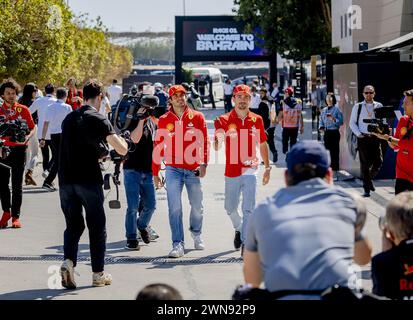 Bahrain. März 2024. BAHRAIN – Carlos Sainz (Ferrari) und Charles Leclerc (Ferrari) im Fahrerlager vor dem dritten freien Training auf dem Bahrain International Circuit in der Wüste Sakhir vor dem Großen Preis von Bahrain. ANP REMKO DE WAAL Credit: ANP/Alamy Live News Stockfoto