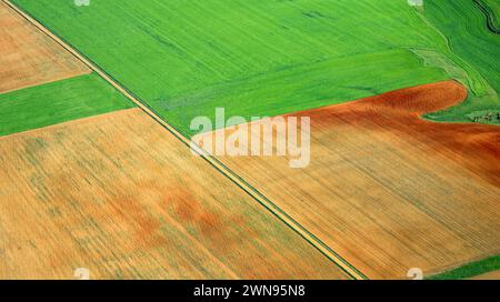 Luftaufnahme, landwirtschaftliches Feld, Segovia, Castilla y León, Spanien, Europa Stockfoto