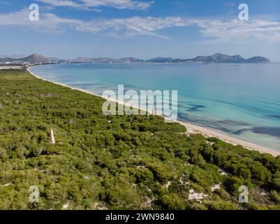 Hauptpunkte, Es Comú, Àrea Natural d'Especial Interès, im Naturpark S'Albufera, Muro, Bahía de Alcúdia, Mallorca, Balearen I Stockfoto