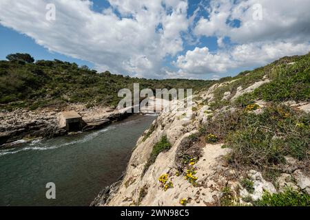 Cala Pilota, Manacor, Mallorca, Balearen, Spanien Stockfoto