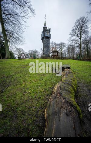 Dramatischer Blick auf einen Turm hinter einem gefallenen Baumstamm, Weyerbuschturm, Kaiserhoehe, Nuetzenberg, Elberfeld, Wuppertal, Bergisches Land, Norden Stockfoto