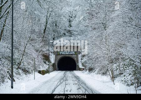 Eine schneebedeckte Straße führt in einen alten Tunnel, flankiert von dicht verschneiten Bäumen, Nordbahntrasse, Elberfeld, Wuppertal, Bergisches Land, Nord Stockfoto