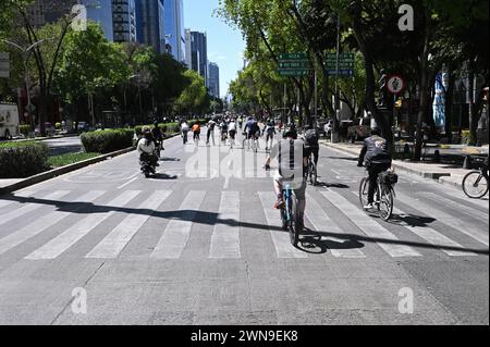 Radfahren auf der Avenida de la Reforma, Colonia Centro, Mexiko-Stadt, die sonntags geschlossen ist Stockfoto