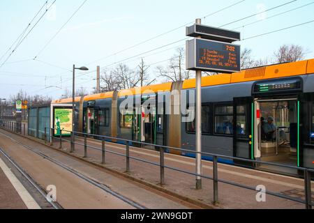 Leipzig - Fahrer stellen sich gegen Streik: Viele LVB-Bahnen und -Busse fahren trotz Verdi-Ausstand 01.03.2024 gegen 7,30 Uhr Leipzig, Stadtgebiet nach dem Streikaufruf der Gewerkschaft Verdi auch bei den Leipziger Verkehrsbetrieben stehen am Freitag viele Straßenbahnen und Buss in der Messestadt still. Dennoch fahren - zur Überraschung vieler ÖPNV-Nutzer - am Morgen viele Straßenbahnen und Busse. Am Straßenbahnhof Angerbrücke im Leipziger Westen sind am Freitagmorgen nur etwa 50 Prozent der Belegschaft in den Ausstand getreten, die anderen haben ihre Arbeit aufgenommen. Ein LVB-Sprecher sagt Stockfoto