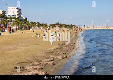 Winterstrand in Finikoudes, Larnaca, Zypern. Februar 2024. Sehr wenige Leute am Strand. Stockfoto