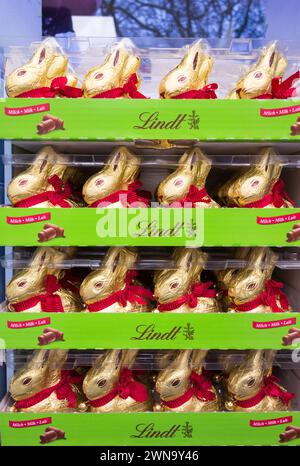 Nahaufnahme der attraktiven Lindt Golden Milk Easter Chocolate Hasen in einem Regal in einem Geschäft in Großbritannien Stockfoto