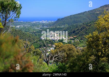 Blick von oben über Auribeau sur Siagne mit dem Meer im Hintergrund, Alpes Maritimes, Französische Riviera, 06, PACA Stockfoto