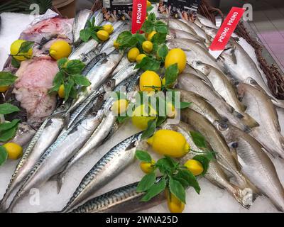 FRANKREICH, BORDEAUX, 9. Februar 2024: Auswahl an frischem Fisch täglich auf dem Eismarkt im Supermarkt Stockfoto