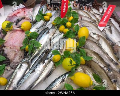 FRANKREICH, BORDEAUX, 9. Februar 2024: Auswahl an frischem Fisch täglich auf dem Eismarkt im Supermarkt Stockfoto