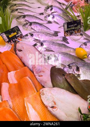 FRANKREICH, BORDEAUX, 9. Februar 2024: Auswahl an frischem Fisch täglich auf dem Eismarkt im Supermarkt Stockfoto