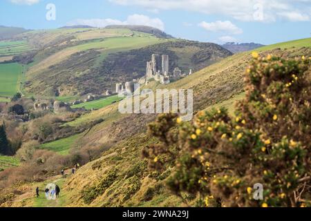 Blick auf Corfe Castle, eingebettet im Tal vom Fußweg nach Osten, in Dorset, Großbritannien am 31. Dezember 2011 Stockfoto