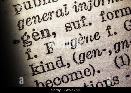 Word gen auf Wörterbuchseite, Makronaht Stockfoto