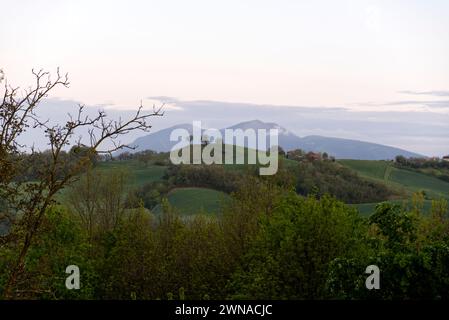 Typische hügelige Landschaft von Urbino, in Mittelitalien Stockfoto