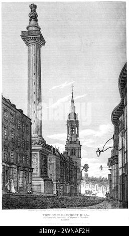 Gravur mit dem Titel View on Fish Street Hill, einschließlich des Monuments, St Magnus's Church &c., London UK, mit hoher Auflösung aus einem Buch von 1815 gescannt. Stockfoto