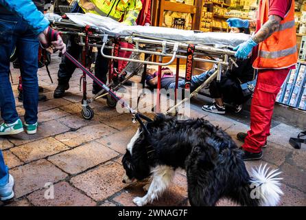Eine düstere Reportage, die sich inmitten der Straßen von bologna entfaltet und die Menschlichkeit und Widerstandskraft in Notfällen erfasst - Frau erhält sofort einen Stockfoto