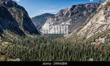 Bergwelt und Tal im Kings Canyon National Park. Stockfoto