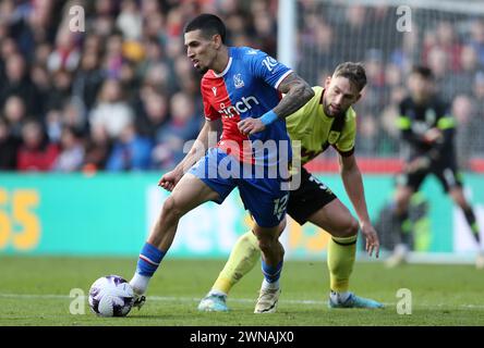 Daniel Munoz aus dem Kristallpalast. - Crystal Palace gegen Burnley, Premier League, Selhurst Park Stadium, Croydon, Großbritannien - 24. Februar 2024. Nur redaktionelle Verwendung – es gelten Einschränkungen für DataCo. Stockfoto