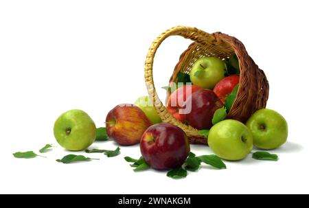 Korb mit Äpfeln, verstreut auf weißem Hintergrund. Isoliert. Bio-Früchte. Gartenarbeit. Nahaufnahme. Stockfoto