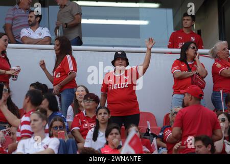 Avellaneda, Argentinien, 24. Februar 2024. Independiente Fans während des Spiels zwischen Independiente und Racing Club. Stockfoto