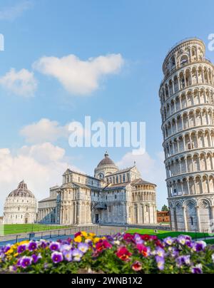 Blumen und Schiefer Turm auf dem Domplatz in Pisa, Italien Stockfoto