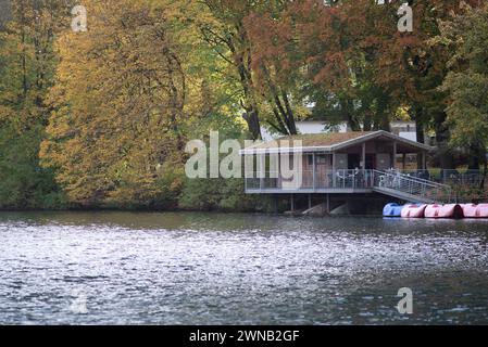 Herbst am Donauufer in Wien, Österreich Stockfoto