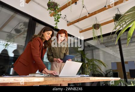 Zwei glückliche Geschäftsfrauen jungen und mittleren Alters, die im grünen Büro arbeiten. Stockfoto