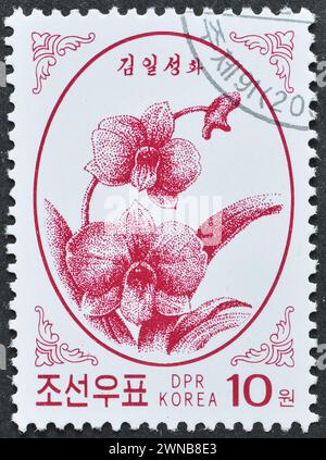 Gestempelte Briefmarke von Nordkorea, die Kimilsungia zeigt, um 2002. Stockfoto