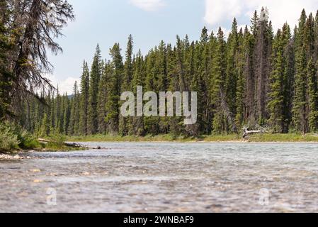 Während der Wanderung zum Johnston Canyon im Banff National Park, Kanada, können Sie im Sommer Ausblicke genießen. Stockfoto