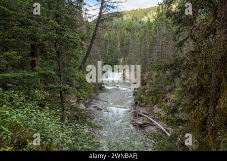 Während der Wanderung zum Johnston Canyon im Banff National Park, Kanada, können Sie im Sommer Ausblicke genießen. Stockfoto